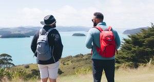 Green Travel: Eco-Friendly Practices for Tourists in New Zealand