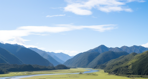 Preserving Paradise: New Zealand's Conservation Efforts